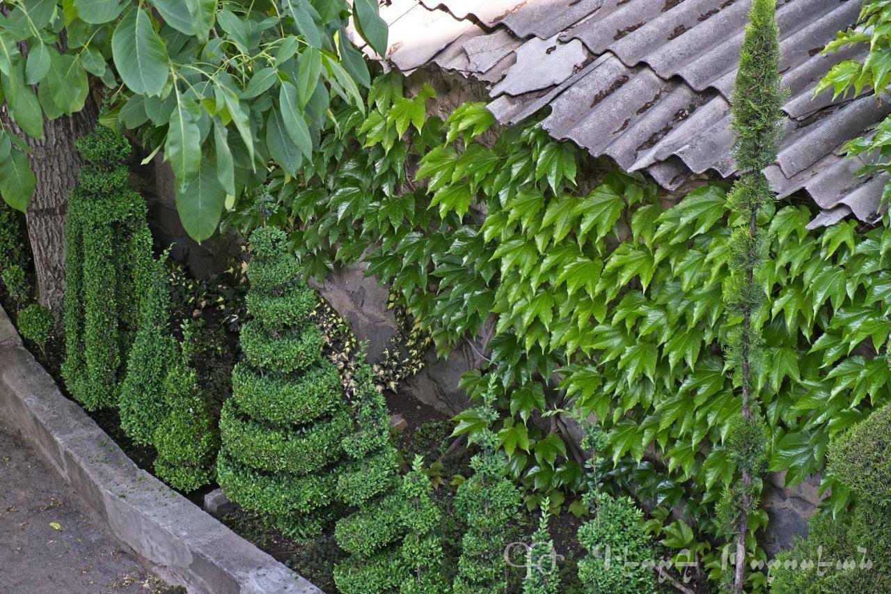 Shushan B&B Yeghegnadzor Екстериор снимка